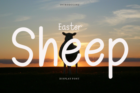 Easter Sheep: A Designer’s Honest Review