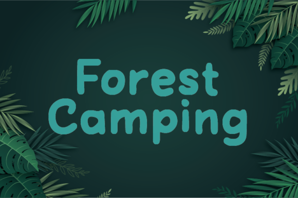 Forest Camping: The Handwritten Typeface for Authentic Brand Identity