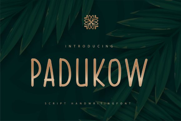Padukow Typeface: The Friendly Script for Authentic Brand Identity