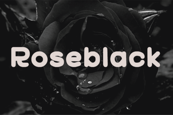 Roseblack: The Handwritten Typeface That Elevates Campaign Visuals